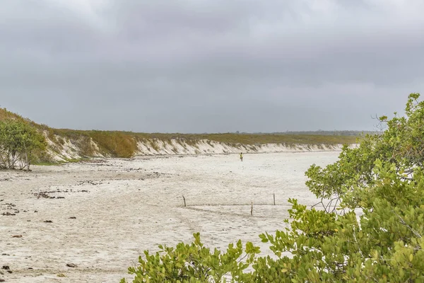 Paisaje Bahía Tortuga Galápagos Ecuador — Foto de Stock