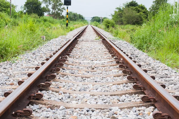 Ferrocarril Distancia Lado Hierba — Foto de Stock