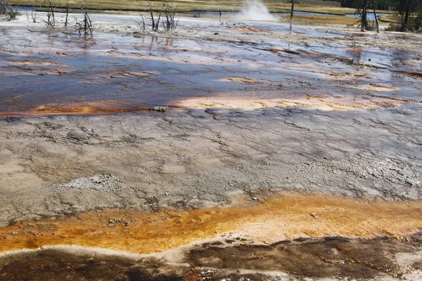 Geiser Yellowstone Grand Tetons — Foto de Stock