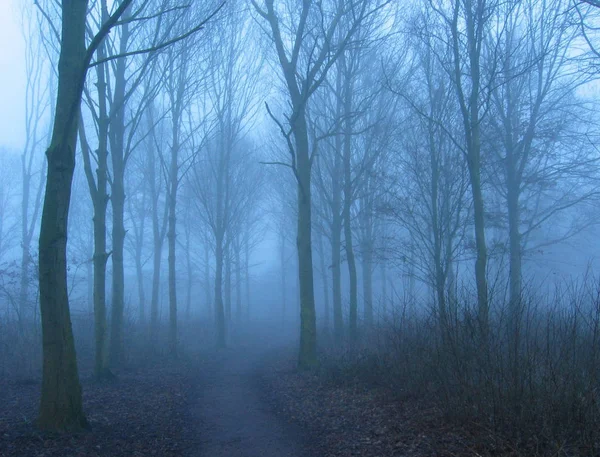 Piękna Panorama Przyrody Natura Koncepcja Podróży — Zdjęcie stockowe