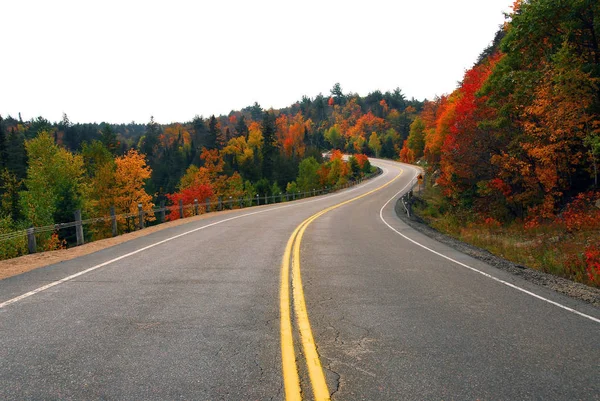 Otoño Carretera Panorámica Norte Ontario Canadá — Foto de Stock