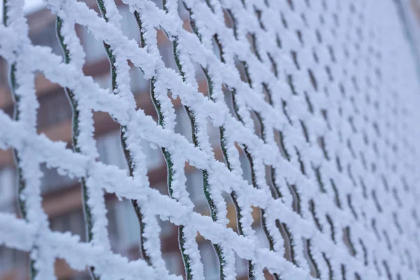 Red Chequeo Hierro Metal Congelado Cubierta Con Heladas Invierno Close — Foto de Stock