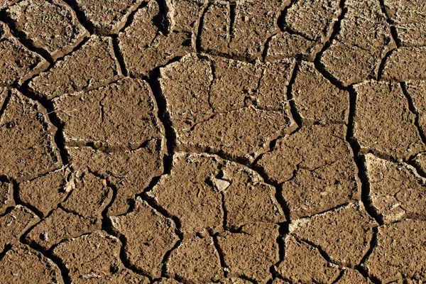 Cracked Parched Dry Earth — Stock Photo, Image