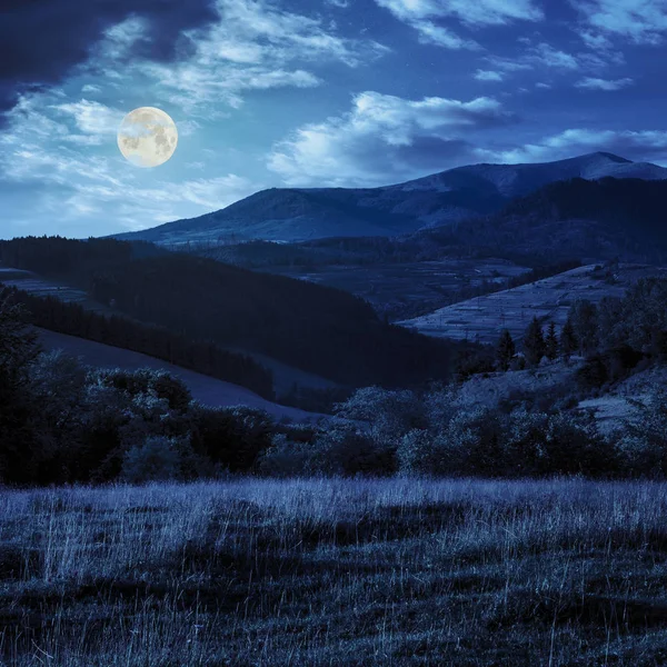 Луг Склоне Холма Рядом Лесом Горах Ночью Свете Полнолуния — стоковое фото