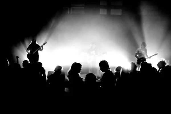 Photo Noir Blanc Concert Rock — Photo