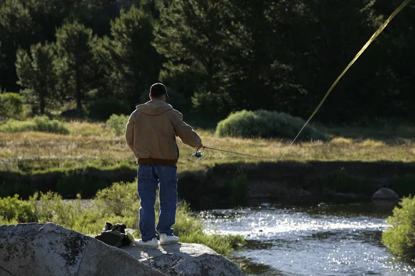 Homem Que Flyfishing Rio — Fotografia de Stock