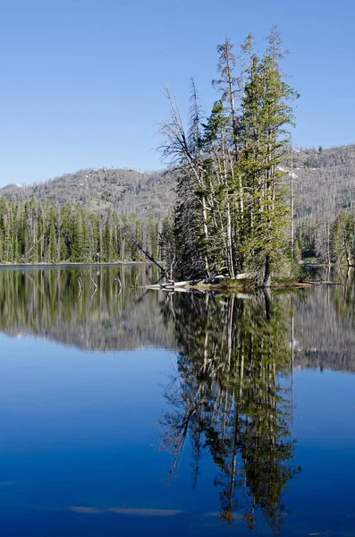 Réflexion Sur Sylvan Lake Parc National Yellowstone Wyoming États Unis — Photo