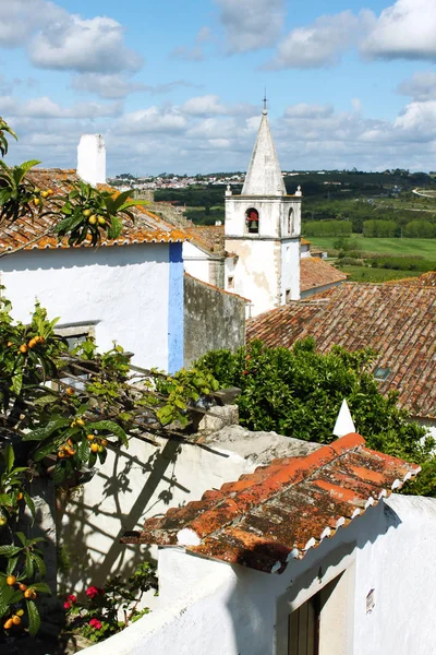 Obidos Portugal Ciudad Portugal Terreno Techo Escala — Foto de Stock