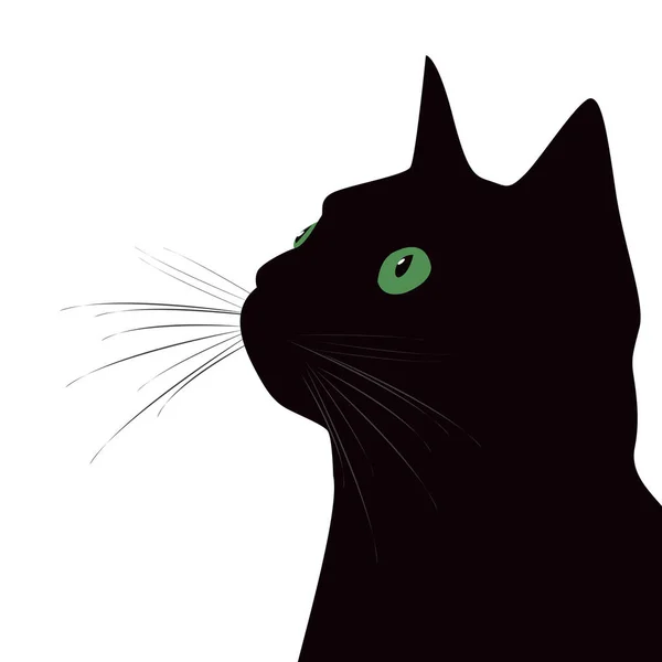 Gato Negro Con Ojos Verdes Sobre Fondo Blanco — Foto de Stock