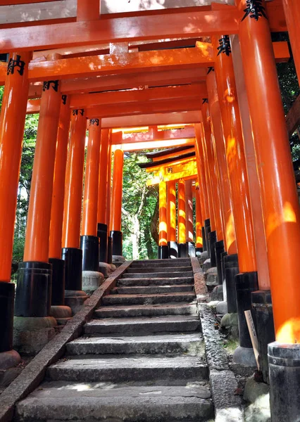 Tunnel Tusen Torii Gates Fushimi Inari Shrine Kyoto Japan — Stockfoto