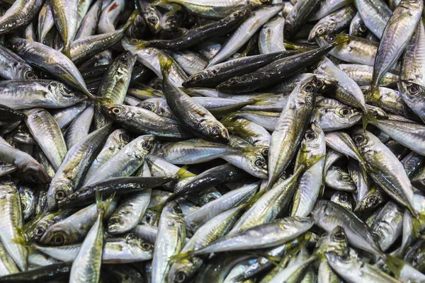 Mercado Pescado Paseo Marítimo Galata Estambul — Foto de Stock