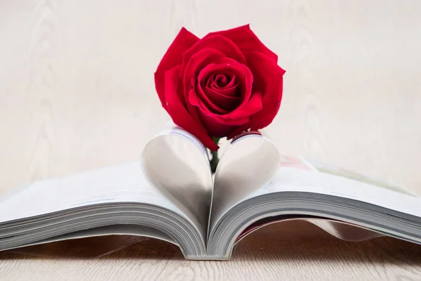 Rose Τοποθετηθούν Στη Σελίδα Βιβλία Που Είναι Λυγισμένο Ένα Σχήμα — Φωτογραφία Αρχείου