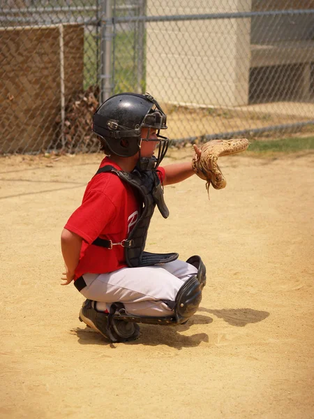 young baseball catcher ready to play behind the plate