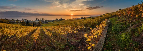Paysage De Vignoble En Toscane Italie Lever Du Soleil