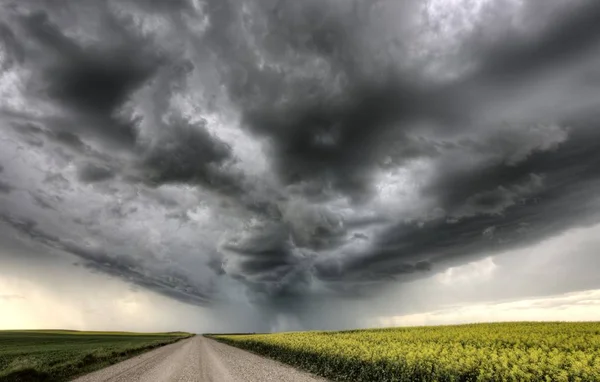 Sturmwolken Saskatchewan Gelb Helles Rapsfeld — Stockfoto