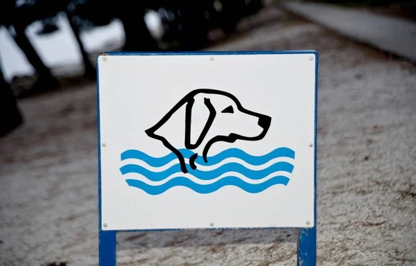 Teken Oplossen Van Het Baden Van Honden Genomen Kroatië — Stockfoto