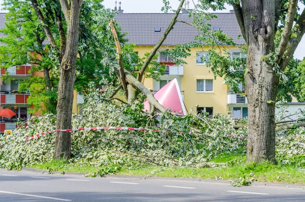 Home Concetto Assicurazione Casa Colpito Albero Caduto — Foto Stock