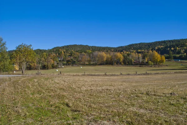 Foto Opgenomen Bakke Die Een Dorp Gemeente Halden Waar Het — Stockfoto