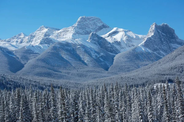 Гора Лахейд Поблизу Банф Канадських Скелястих Горах — стокове фото