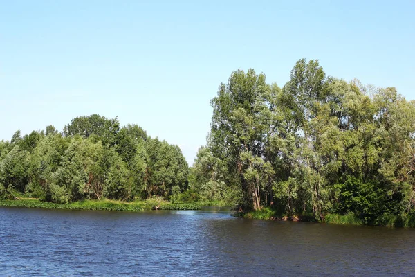 川や木のある夏の風景 — ストック写真