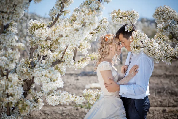 Para Ślub Przyrodzie Wiosną — Zdjęcie stockowe