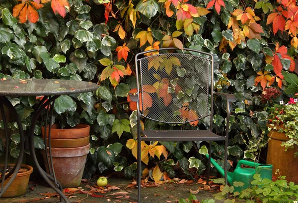 Ein Ort Den Herbsteinbruch Betrachten — Stockfoto