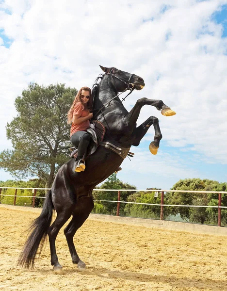 Riding Girl Her Stallion Training Dressage — Stock Photo, Image