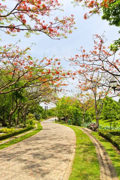 Camino Parque — Foto de Stock