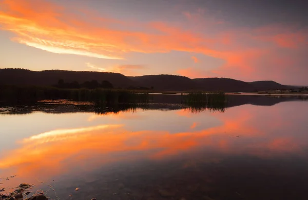 Splendid Vivid Colours Mirrored Reflections Lake Location Boorooberongal Lake Penrith — Stock Photo, Image