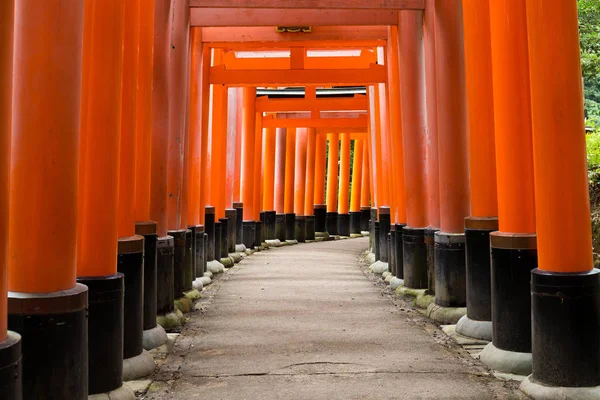 Fushimi Inari Taisha Shrine Кіото — стокове фото