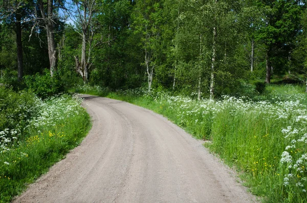 꽃으로 둘러싸인 스웨덴 시골에 자갈도로 — 스톡 사진