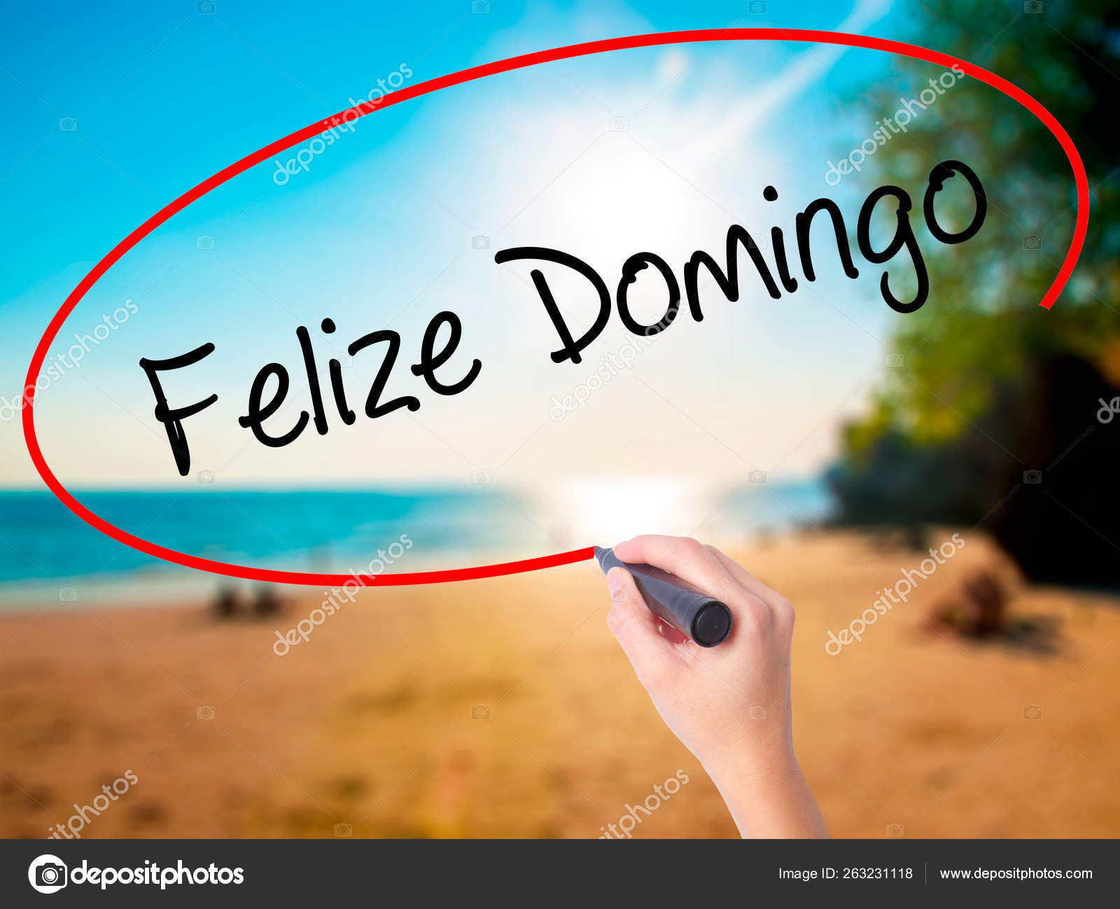 Mulher Escrita Mão Felize Domingo Feliz Domingo Espanhol Português Com — Fotografias de Stock © YAYImages #263231118 Mulher Escrita Mão Felize Domingo Feliz Domingo Espanhol Português Com — Fotografias de Stock © YAYImages #263231118