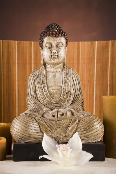 Портрет Будды Крупный План Студия — стоковое фото