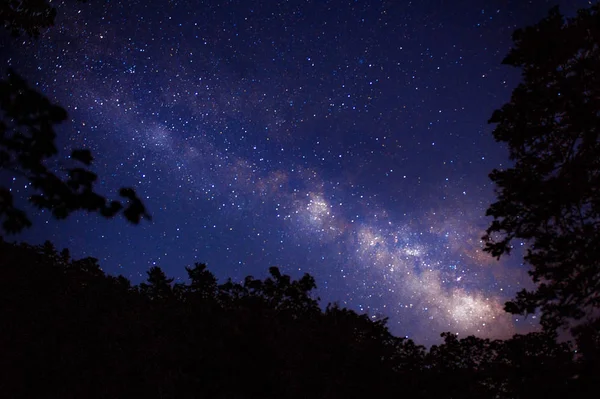 Vía Láctea Estrella Con Algunos Árboles Parque Seoraksan Corea Enfoque — Foto de Stock