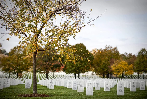 Graves Soldiers Burried National Public Cemetery Arington — Stock Photo, Image