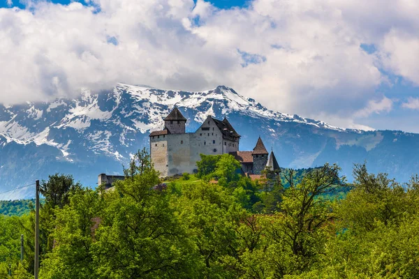Castelo Medieval Vaduz Oberland Liechtenstein — Fotografia de Stock