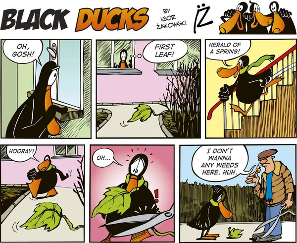 Black Ducks Comic Strip Episode — Stock Photo, Image