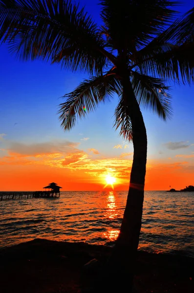 Beautiful Sunset View Background — Stock Photo, Image