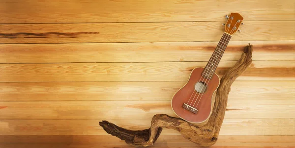 Ukulele Gałązki Stylu Vintage Kolor Połączonym Drewnianym Tle Ukulele Drewnie — Zdjęcie stockowe