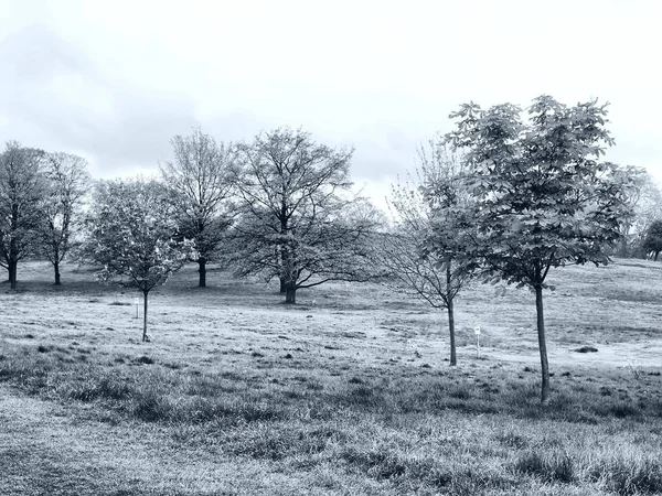 Parque Primrose Hill Londres Inglaterra Reino Unido Hdr Alto Rango — Foto de Stock