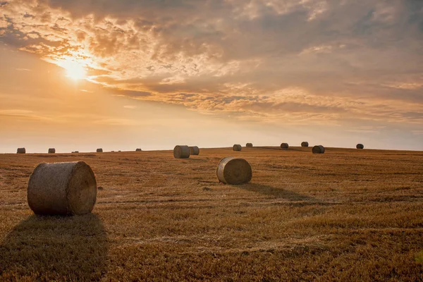 Summer Harvested Field Straw Bales Evening Sunset Agriculture Concept Czech — Stock Photo, Image
