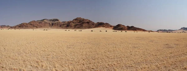 Paisagem Panorâmica Deserto Namíbia — Fotografia de Stock