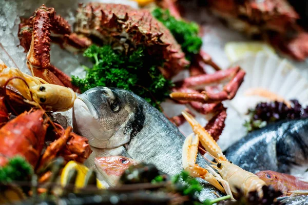 Pesce Crudo Granchi Altri Frutti Mare Ghiacciati — Foto Stock