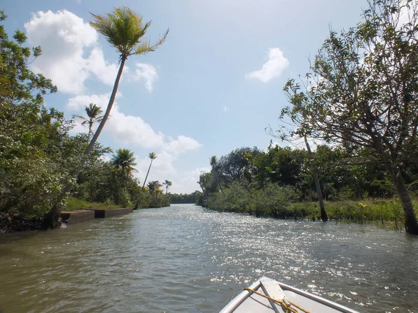 Verso Rio Preguicas Maranhao Brasile — Foto Stock