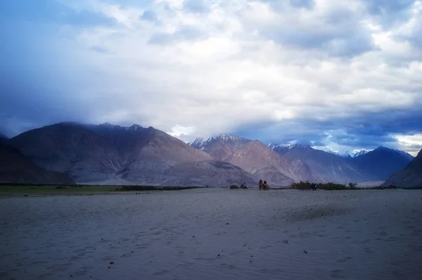 Leh Ladakh Jammu Kashmir Hindistan Daki Nubra Vadisi Nin Hunder — Stok fotoğraf