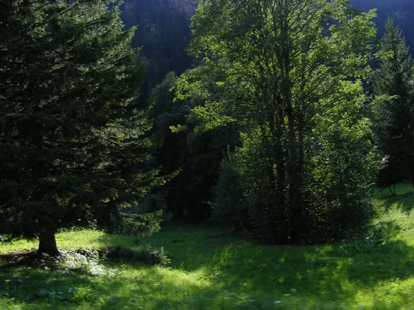 Vista Panorámica Hermosa Paisaje Montañas Árboles — Foto de Stock