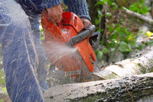 Homem Cortando Grande Pedaço Madeira Com Serra Corrente — Fotografia de Stock