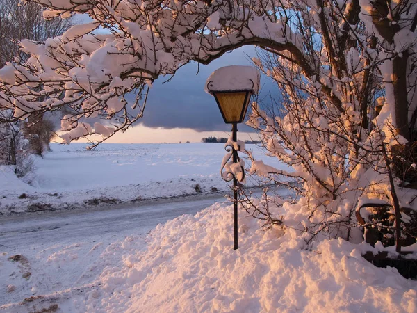 Vit Jul Bakgrundsbild Trädgård Lampa Träd Och Snö — Stockfoto