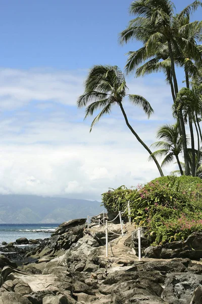 Hawaii Esperienza Immagini — Foto Stock