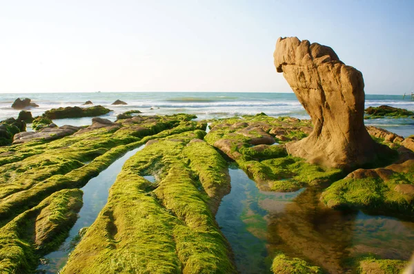Impresionante Paisaje Naturaleza Con Increíble Roca Grande Cubierta Musgo Verde — Foto de Stock